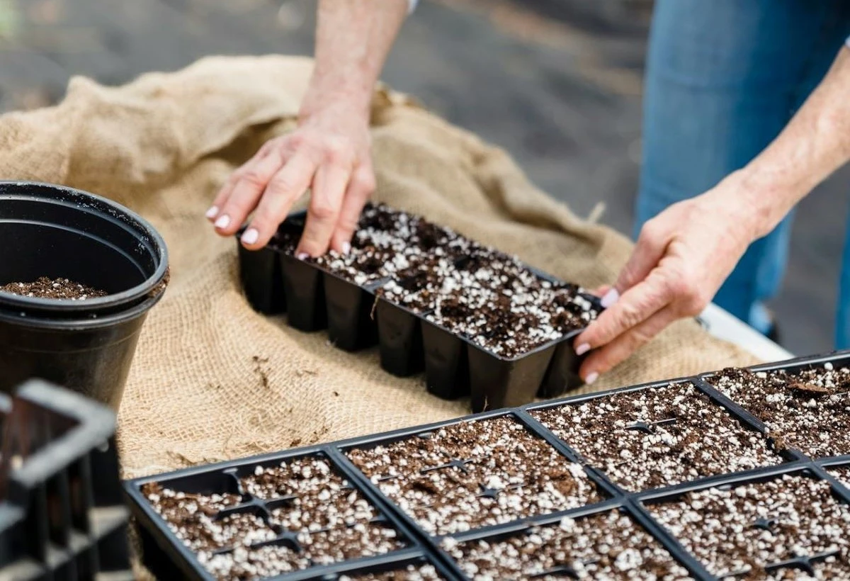 I 3 giorni "banditi" per chi ama il giardinaggio: ecco quando non toccare i semi