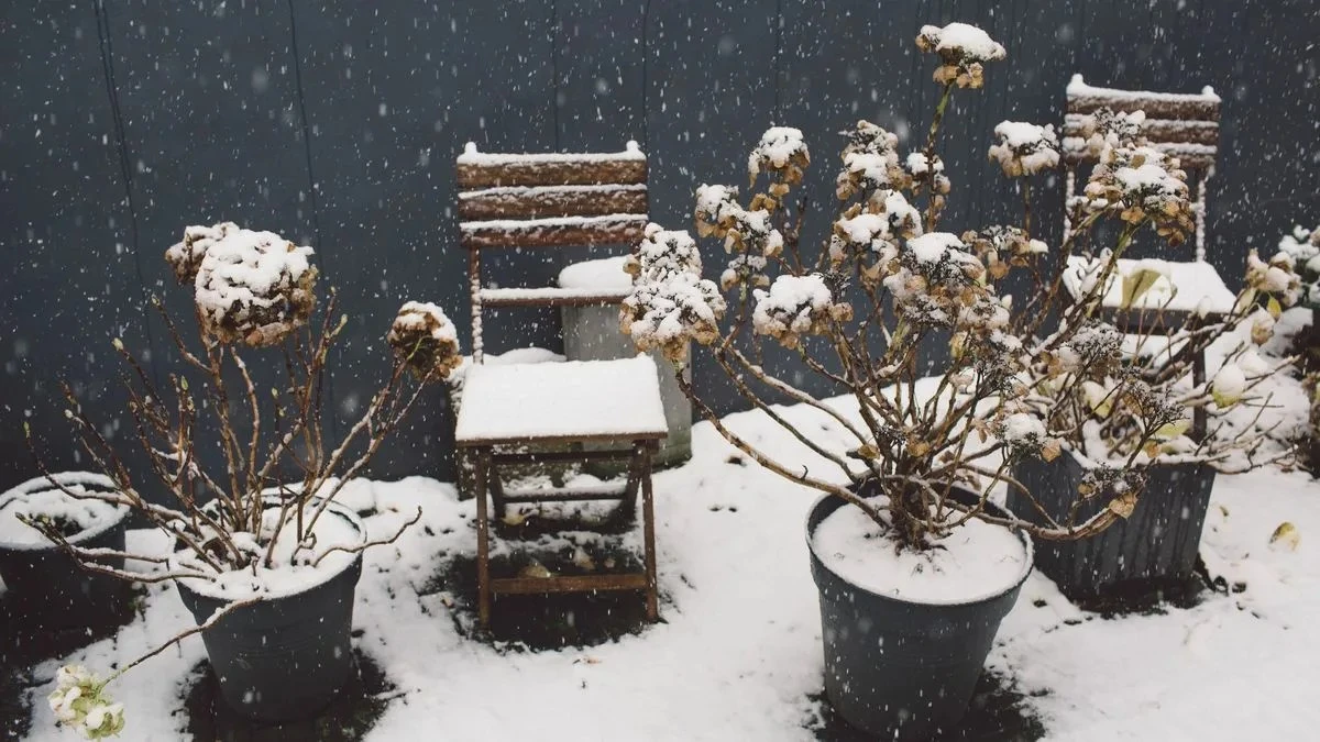 3 lavori essenziali in giardino a febbraio per una primavera rigogliosa