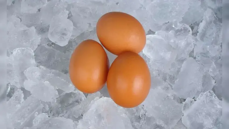 5 cibi comuni che puoi congelare (e dovresti farlo subito)