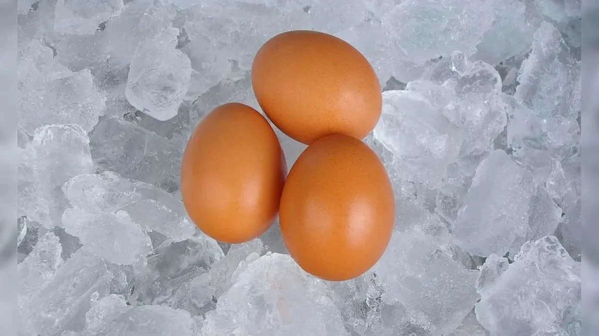 5 cibi comuni che puoi congelare (e dovresti farlo subito)