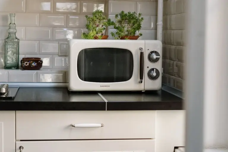 5 Trucchi Poco Noti per Scaldare il Cibo in Microonde Perfettamente