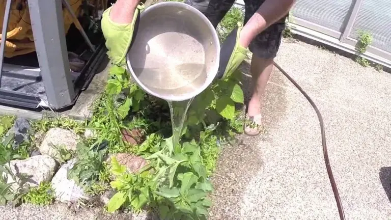 Acqua Bollente per il Controllo delle Erbacce: Il Trucco Sorprendente che Funziona