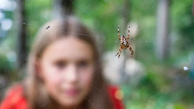 Animali Pericolosi in Italia: La Verità Nascosta su Ragni, Serpenti e Meduse