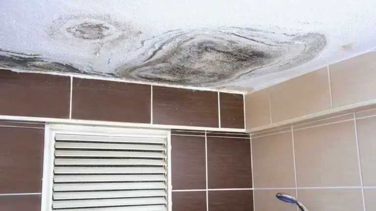Bagno umido? Elimina il cattivo odore con questi 5 rimedi naturali infallibili