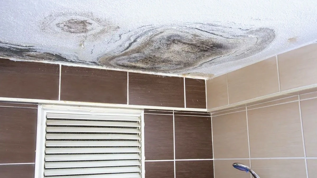 Bagno umido? Elimina il cattivo odore con questi 5 rimedi naturali infallibili