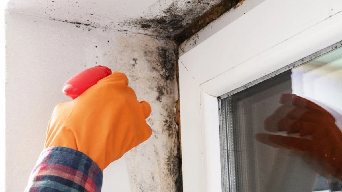 Basta una goccia: addio muffa nera sui telai delle finestre in inverno