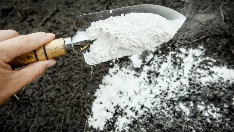 Concime neve: i trucchi di febbraio per una terra più fertile in primavera