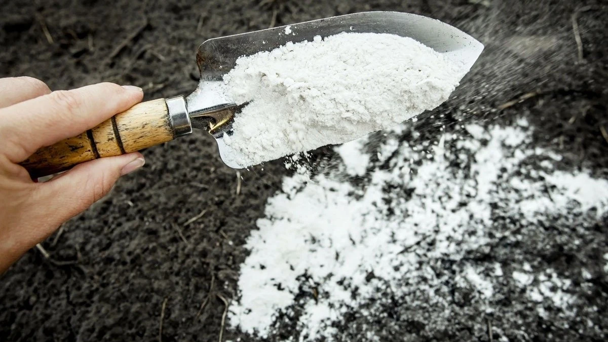 Concime neve: i trucchi di febbraio per una terra più fertile in primavera