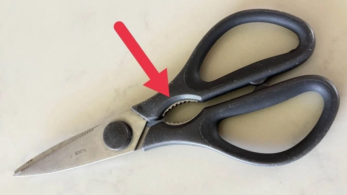 Cosa Nasconde Quel Foro nelle Forbici da Cucina: Molti Lo Ignorano Ancora