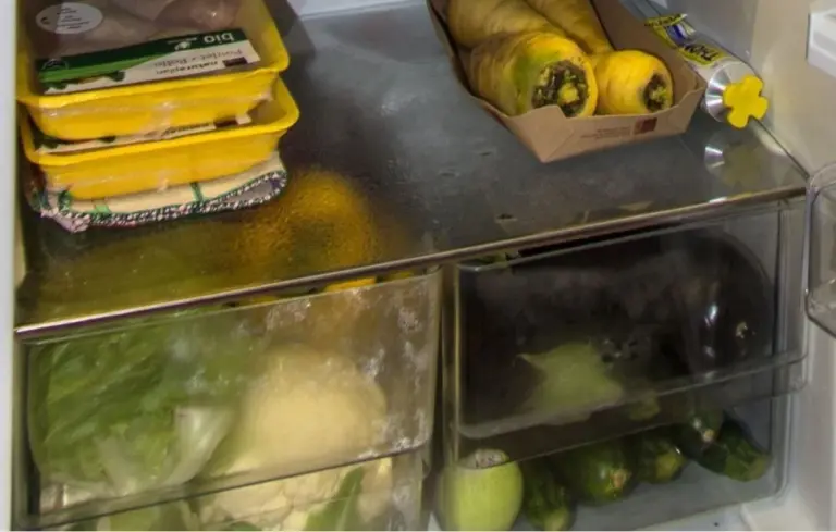Frutta e verdura che non dovresti conservare nel cassetto del frigorifero: perdono sapore e si rovinano