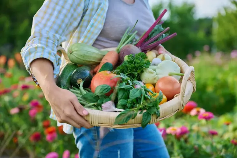 Il calendario segreto dei giardinieri organizzati per verdure fresche tutto l'anno