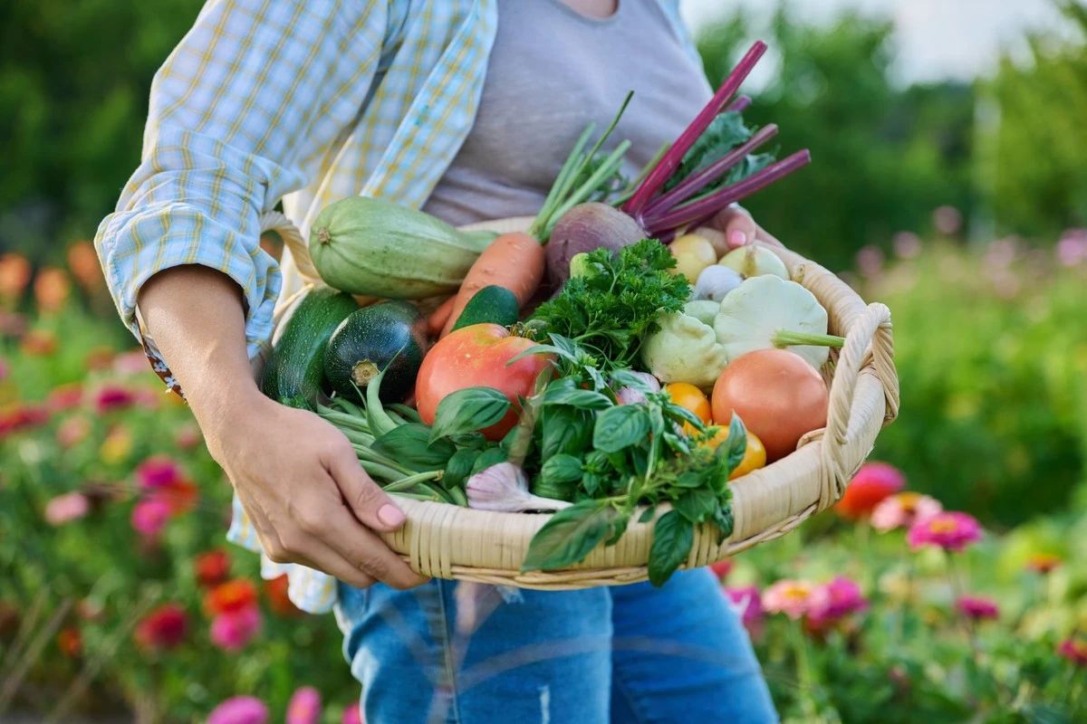 Il calendario segreto dei giardinieri organizzati per verdure fresche tutto l'anno