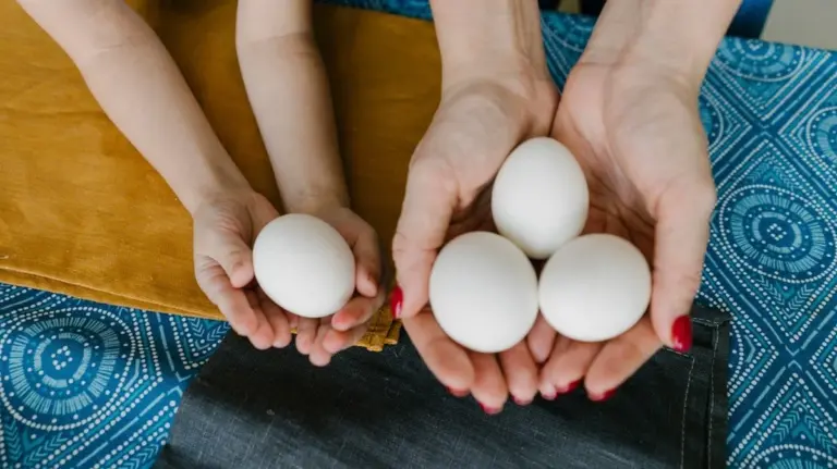 Il peso segreto delle uova: quanto contano davvero le taglie S, M, L, XL?