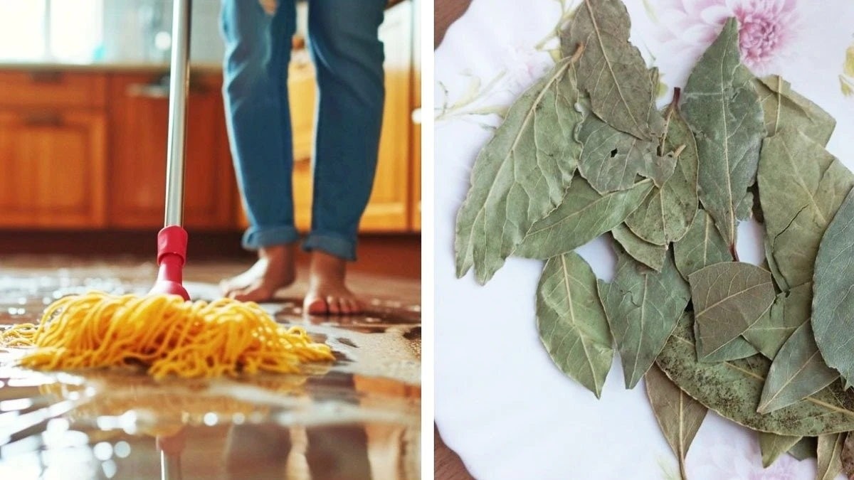 Il segreto che fa sparire la polvere: un rimedio fatto in casa che funziona meglio dei prodotti chimici