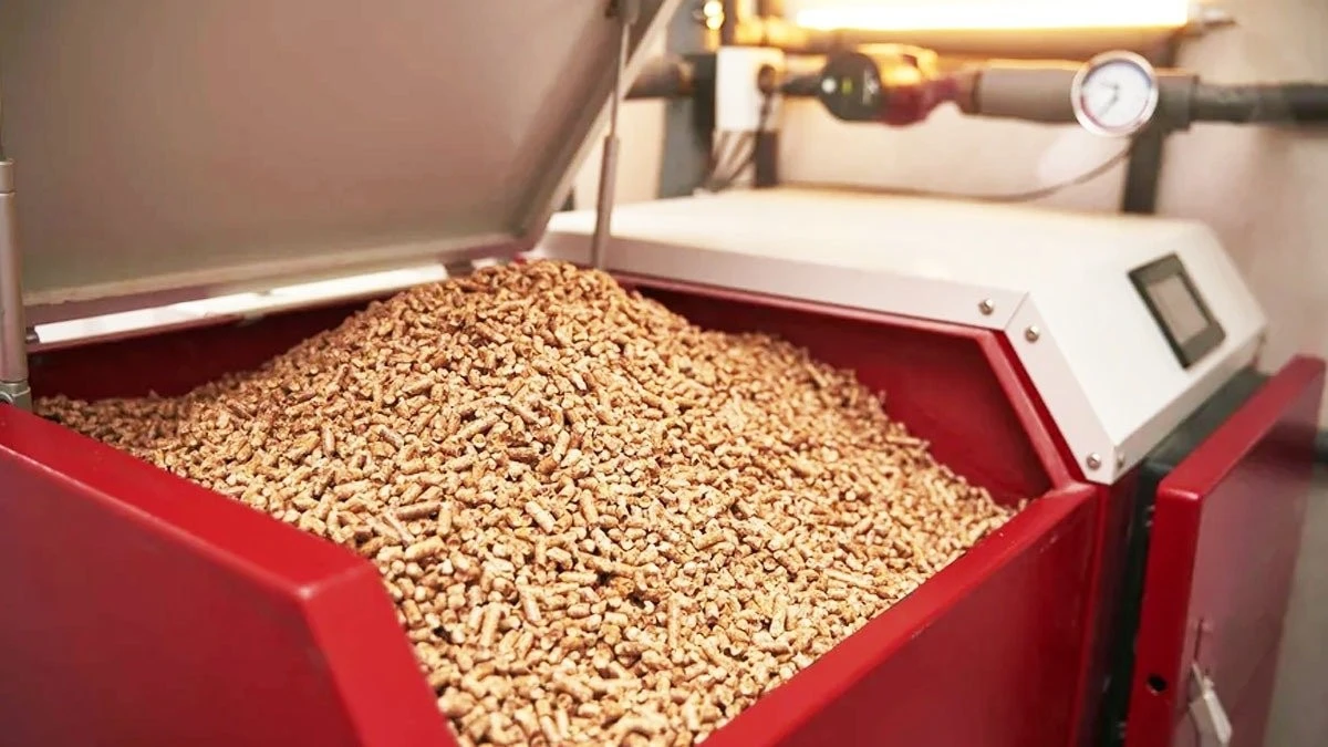 I noccioli di frutta: l'alternativa low-cost che un tempo era un rifiuto