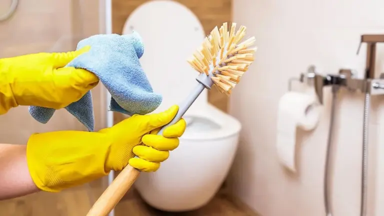 La frequenza reale con cui i professionisti puliscono il water (e non è ogni giorno)