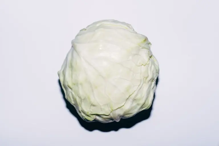 La Verza per le Lasagne in 10 Minuti: Il Segreto Che Ti Cambierà la Cucina