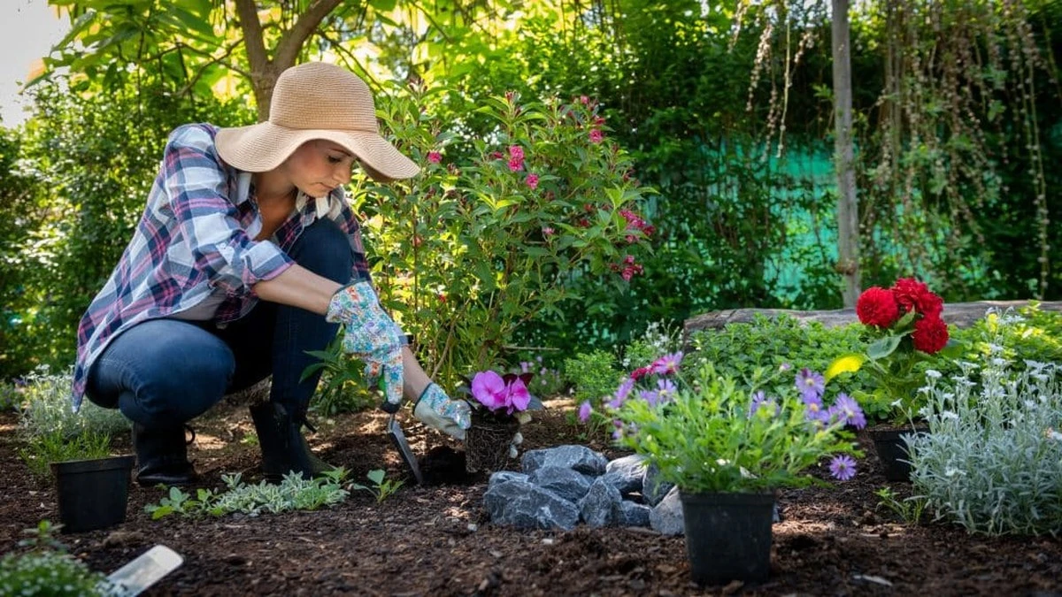 Marzo: i 3 fiori e ortaggi che i giardinieri esperti piantano subito