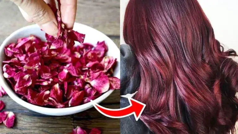 Non buttare le rose di San Valentino: i petali secchi diventano tintura naturale per capelli grigi