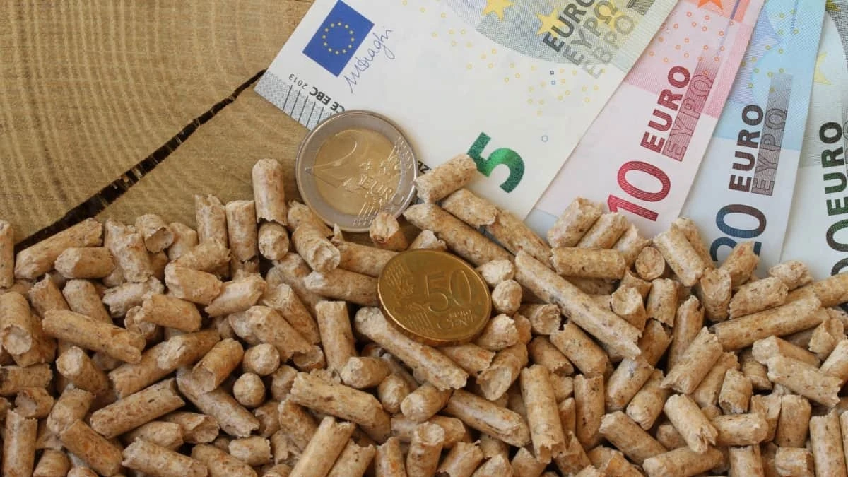 Pelle di legno addio: la nuova alternativa di riscaldamento è più ecologica ed economica secondo gli esperti
