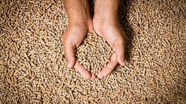 Pellet: non è più "stabile", cosa è successo nell'inverno 2025-2026