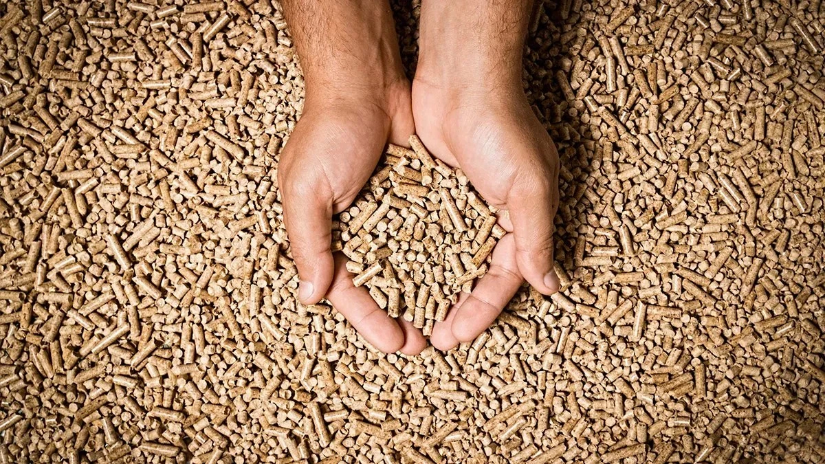 Pellet: non è più "stabile", cosa è successo nell'inverno 2025-2026