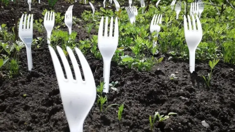 Perché i giardinieri esperti piantano forchette di plastica nel terreno