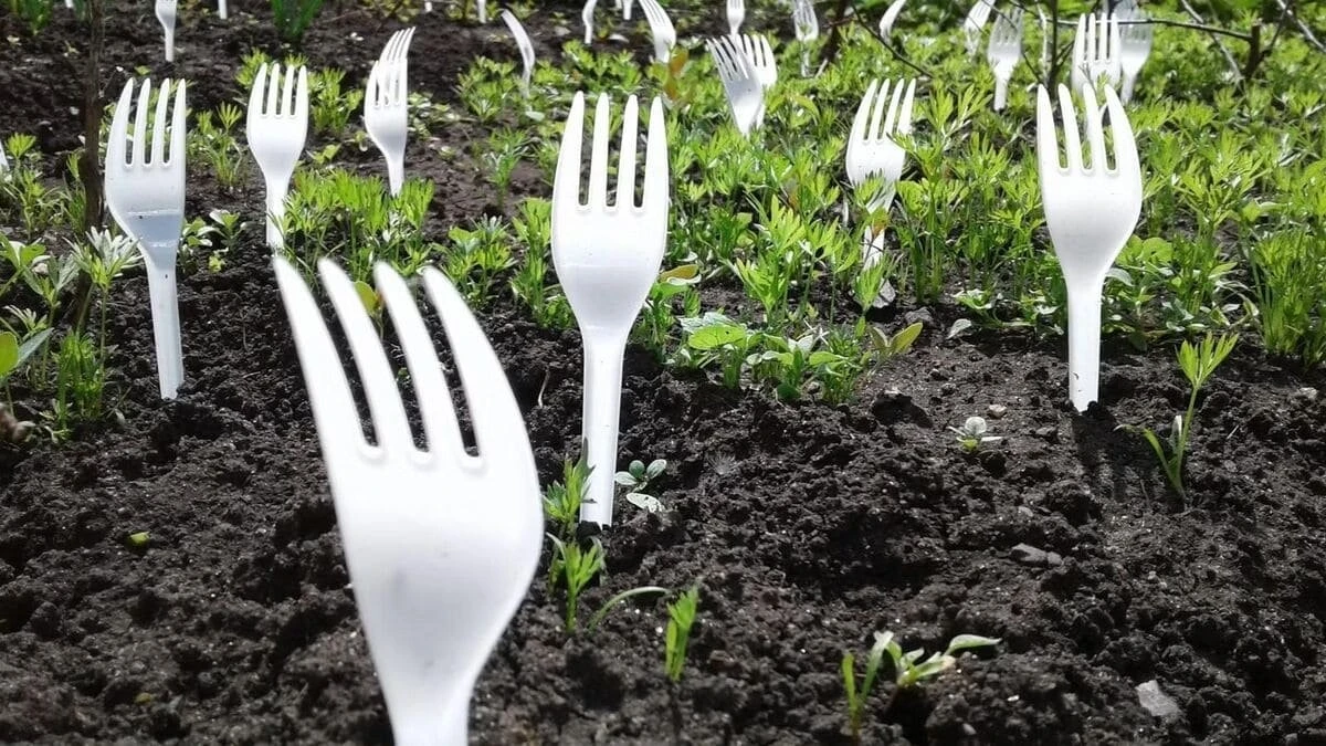 Perché i giardinieri esperti piantano forchette di plastica nel terreno