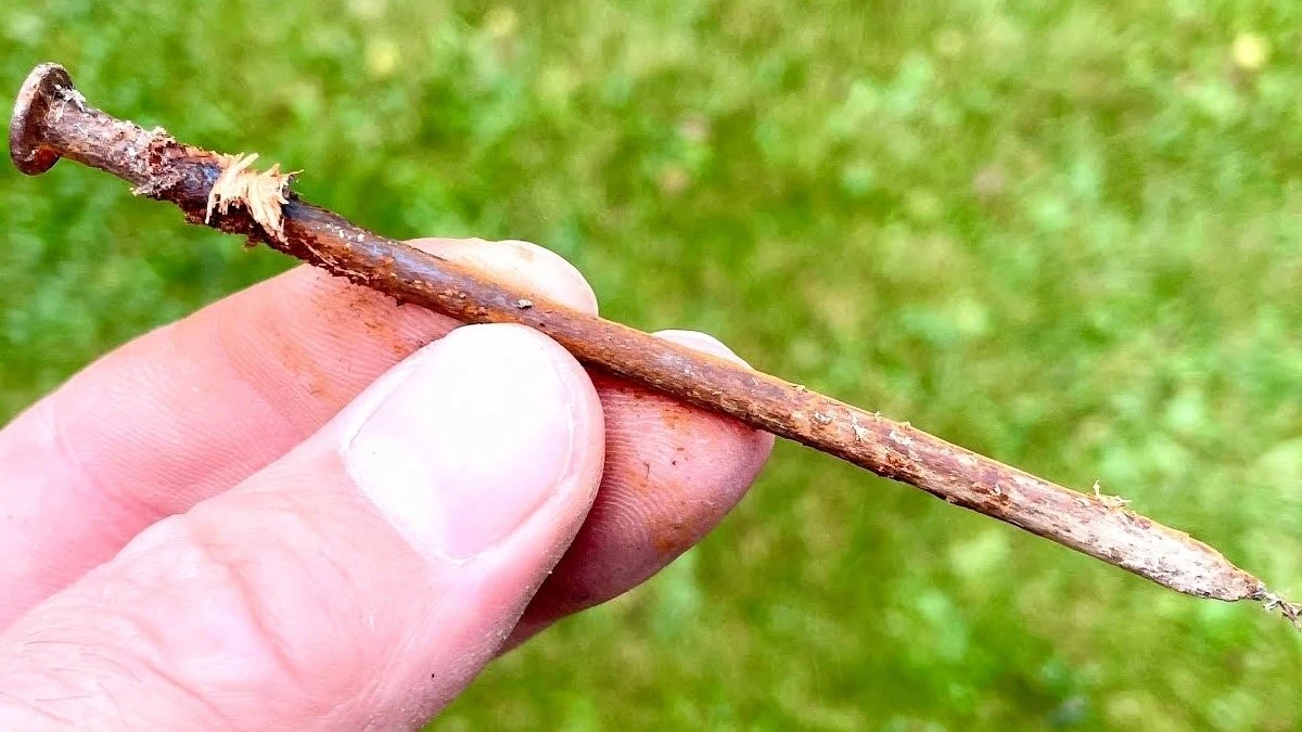Perché i giardinieri esperti sotterrano il ferro arrugginito vicino alle rose