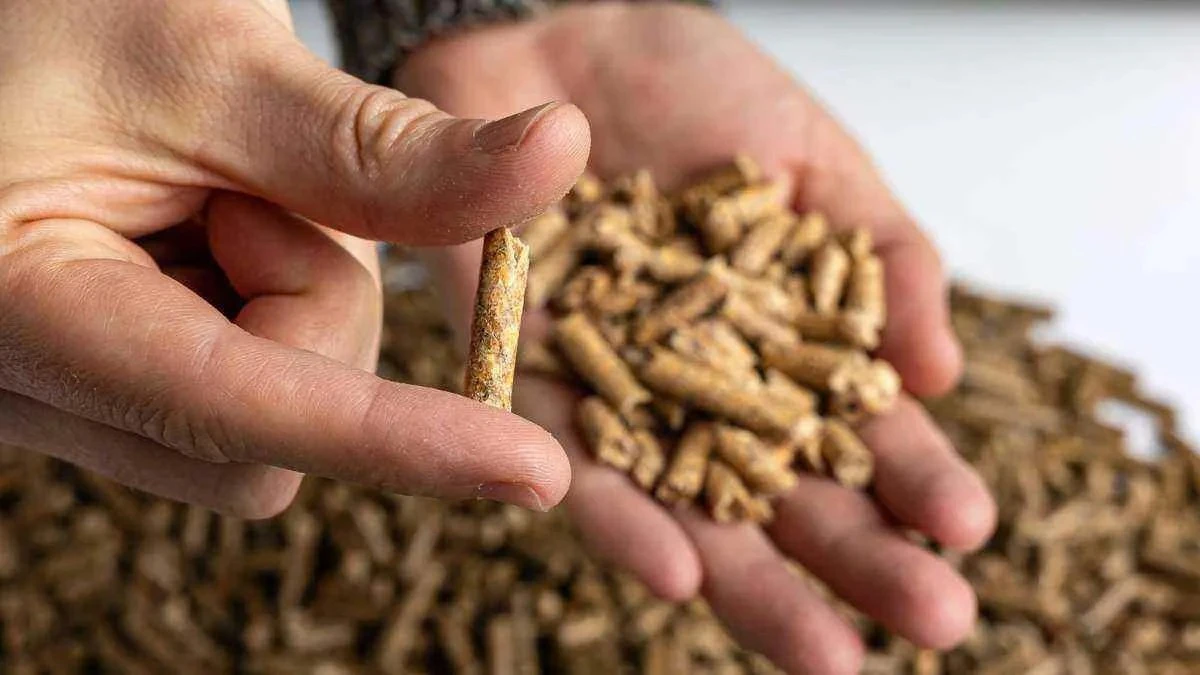 Perché le case polacche stanno abbandonando il pellet: 5 sistemi di riscaldamento che stanno conquistando il mercato