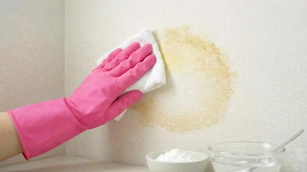 Rivoluziona la tua casa: Macchie ostinate sui muri, ecco come eliminarle in 2 minuti