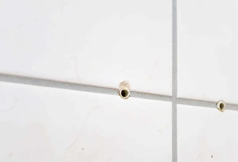Sciuro e colla: la soluzione segreta per riparare i buchi dei tasselli (e dura più dell'intonaco)