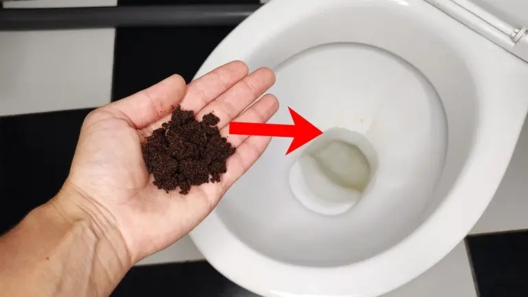 Un cucchiaio di fondi di caffè nel WC: il trucco che sta conquistando l'Italia