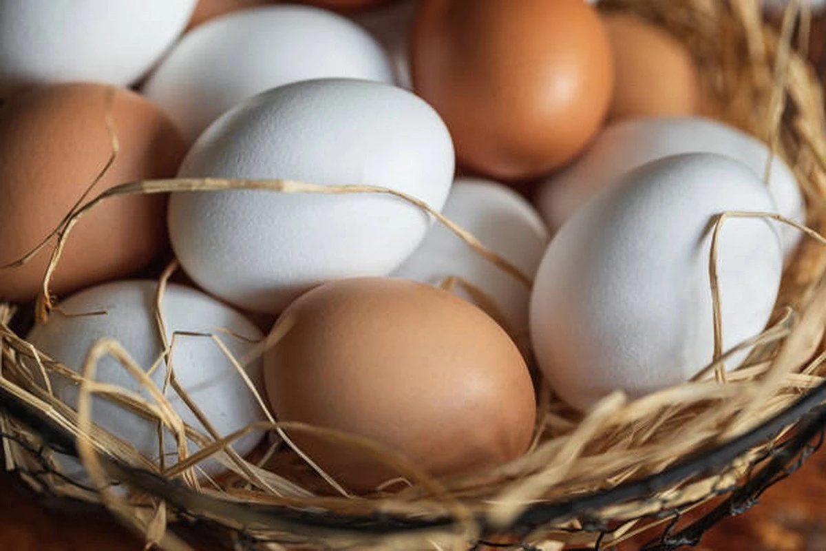 Uova grandi o piccole: quale scelta conviene davvero fare per il tuo portafoglio?