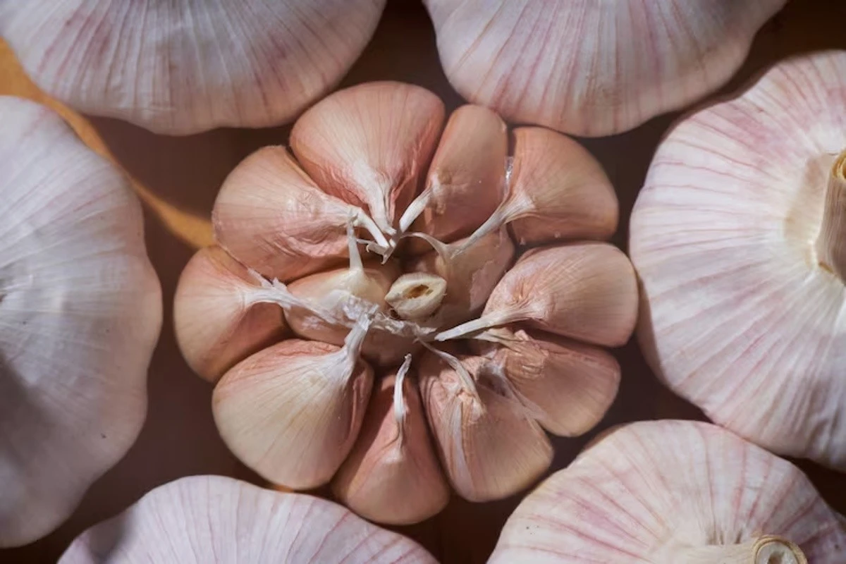 Aglio in Primavera: Il Segreto per Teste Giganti Svelato