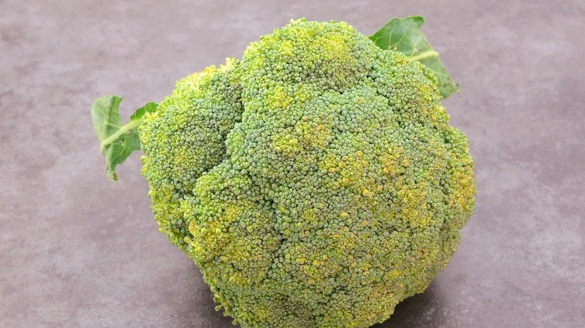 Broccolo giallo: cosa fare quando cambia colore?