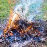 Bruciare scarti verdi in giardino: cosa rischi e alternative ecologiche