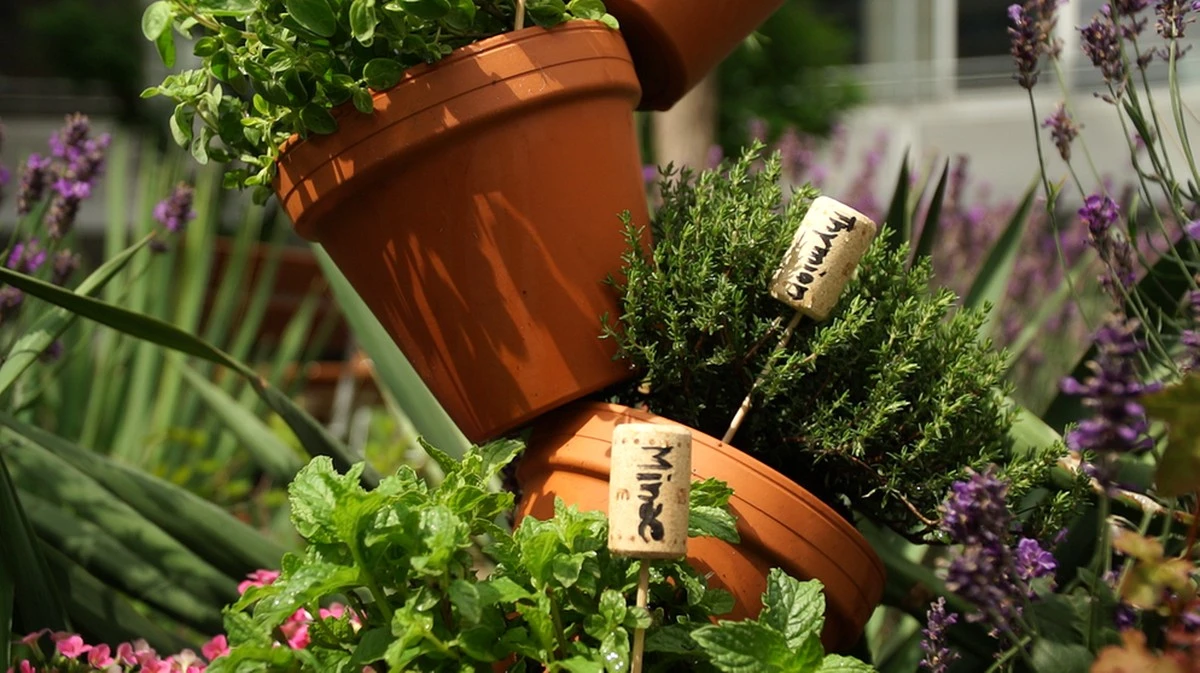 Coltiva erbe fresche sul tuo balcone: crea facilmente una piramide di erbe in terracotta