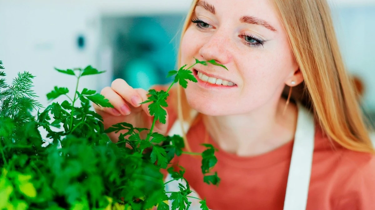 I 20 spezie che ti cambieranno la vita: potenzia il tuo corpo con queste erbe e polveri