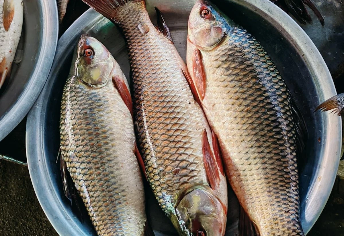 Il segreto per non far scivolare il pesce fresco: un trucco che pochi conoscono