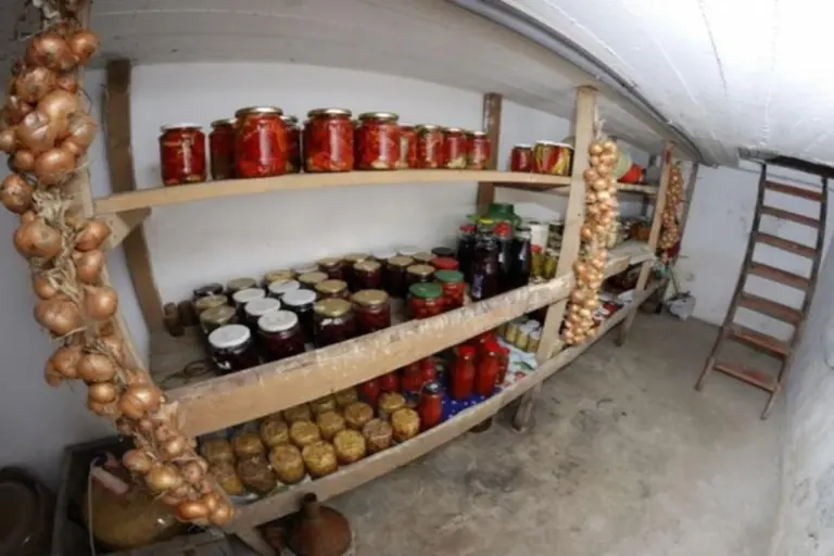 Oggi scoprirai un rimedio semplice per dire addio a muffa e umidità in cantina