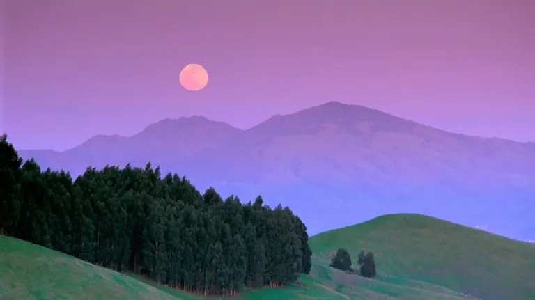 Perché la Luna del Verme appare a marzo? E vedremo l'eclissi lunare?