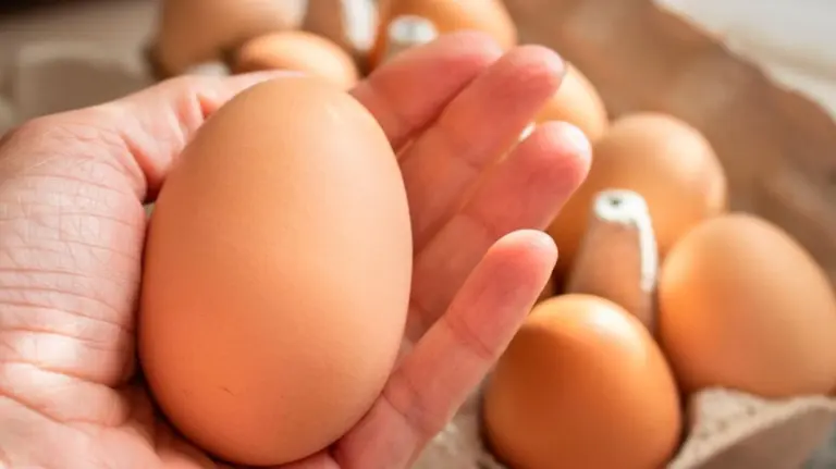 Sorpresa nell'uovo: cosa si nascondeva nell'uovo gigante di Jürgen