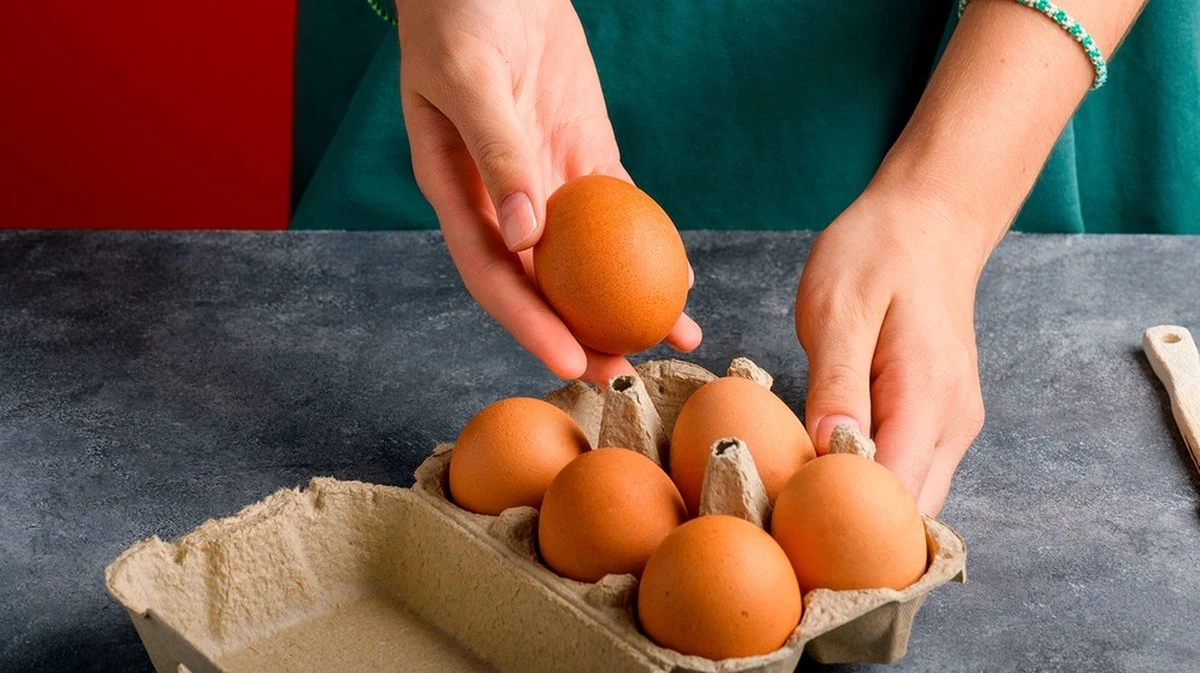 Uova biologiche al supermercato: valgono davvero più di quelle del discount?